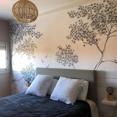 Chic Et Cosy T2 Vue